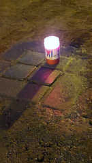 Foto: Bernd Wolfermann