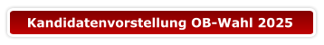 Kandidatenvorstellung OB-Wahl 2025
