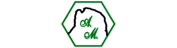 Logo 1000 35%