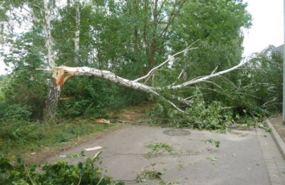 7-150708-Unwetter Dölau (60)-v