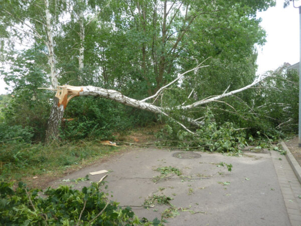 7-150708-Unwetter Dölau (60)-v