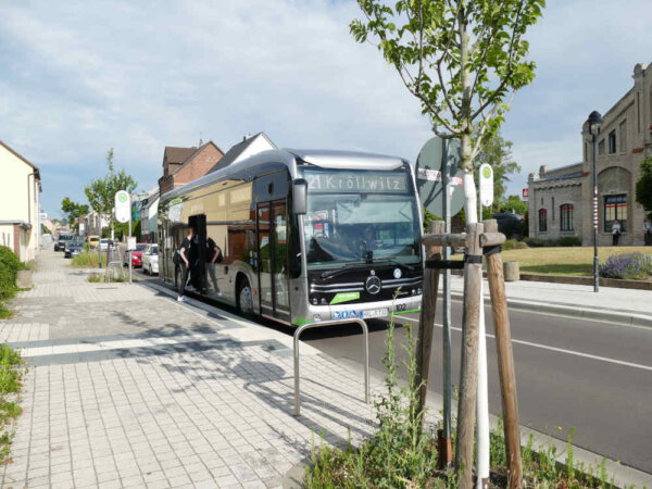 1-E-Bus 1 1000 35%
