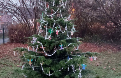 Geschmückter Weihnachtsbaum_1000 35%