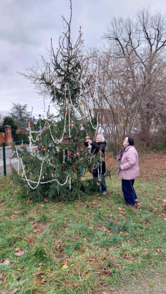 3-241124_Schmücken des Baumes (11) 1000 35%