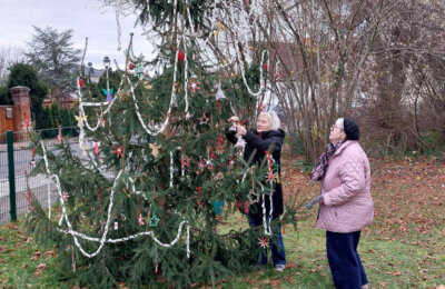 3-241124_Schmücken des Baumes (11) 1000 35%