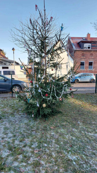 1-20251123_Weihnachtsbaum 1000 35%