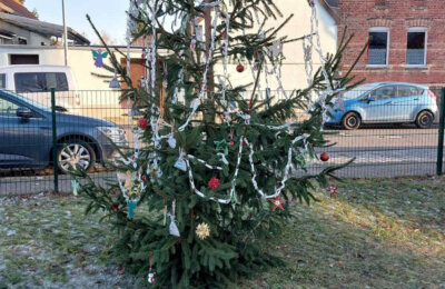 1-20251123_Weihnachtsbaum 1000 35%