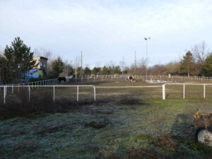 200112-Reitsportverein (11) 1000 35%